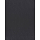 Trueliving_Centuryply_CONCRETE GREY__Design Code: 3233 AL SIZE:2440 MM X 1220 MM  THICKNESS: 1 MM